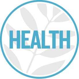 health-icon